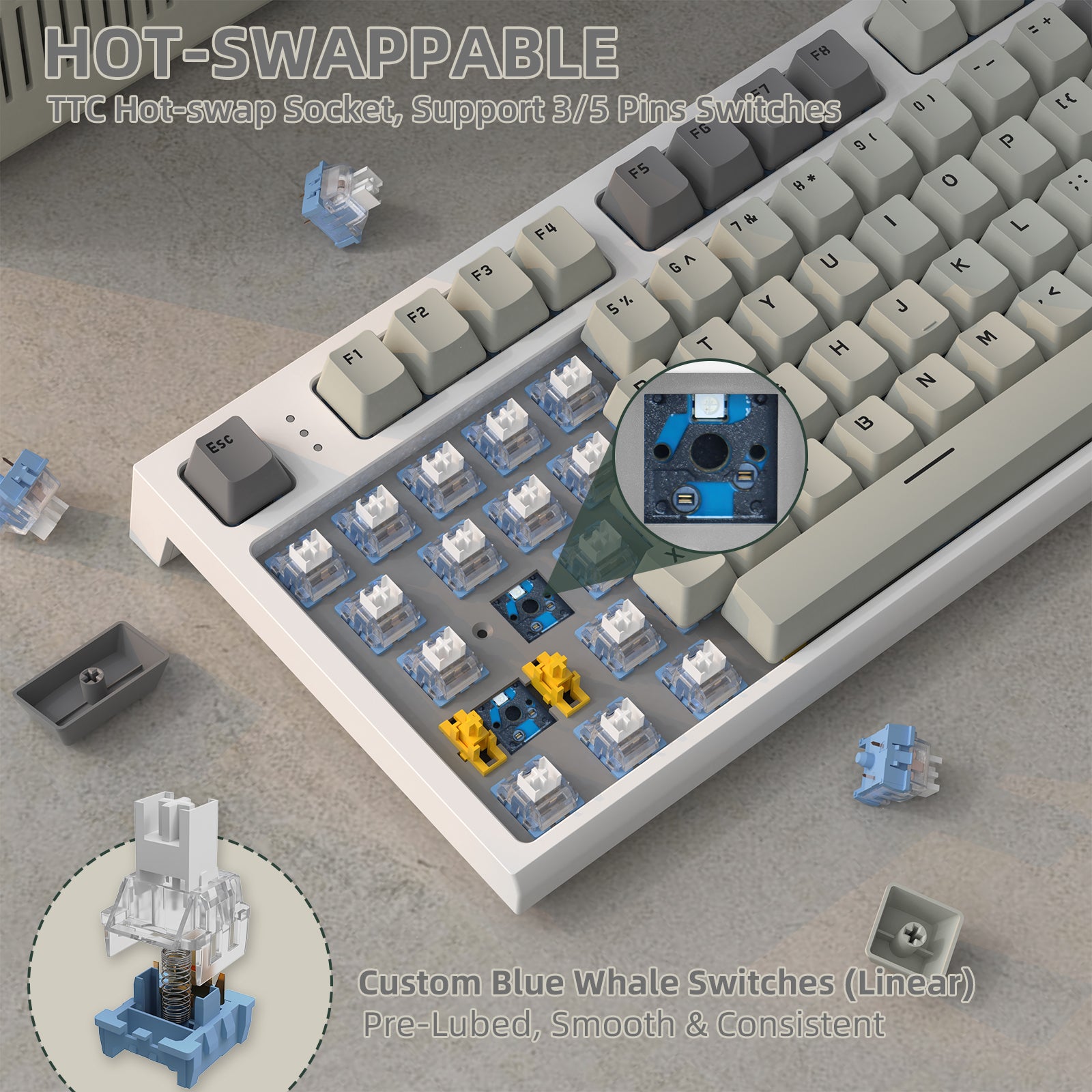 programmable mechanical keyboards