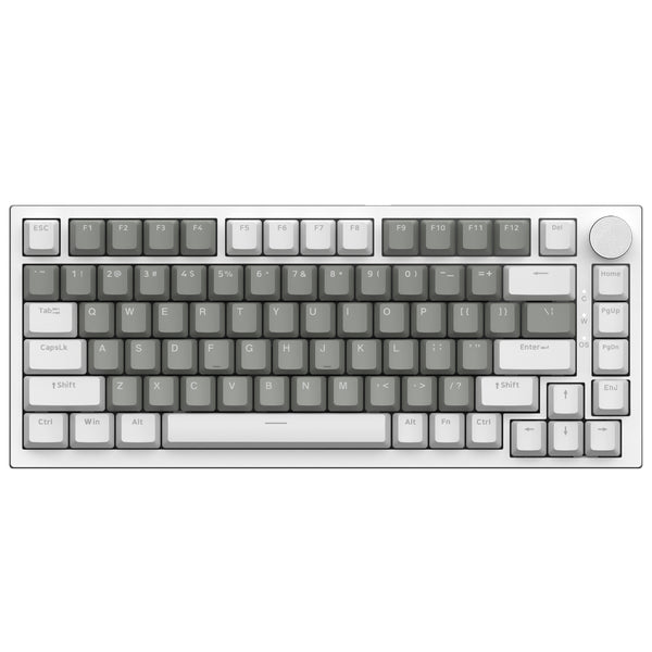Blanc & Gris (Switch HP Tactile, Éclairage Blanc)