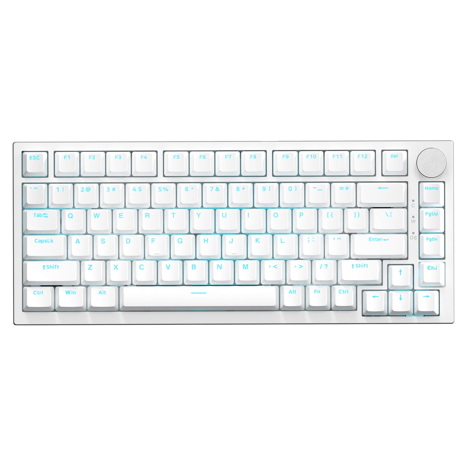 Clicky Switch Keyboard | Mechanical & Hot-Swap