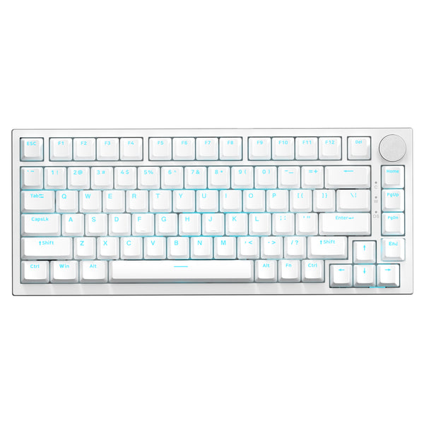 Blanc (Switch Bleu Clicky, Éclairage Bleu Glacé)