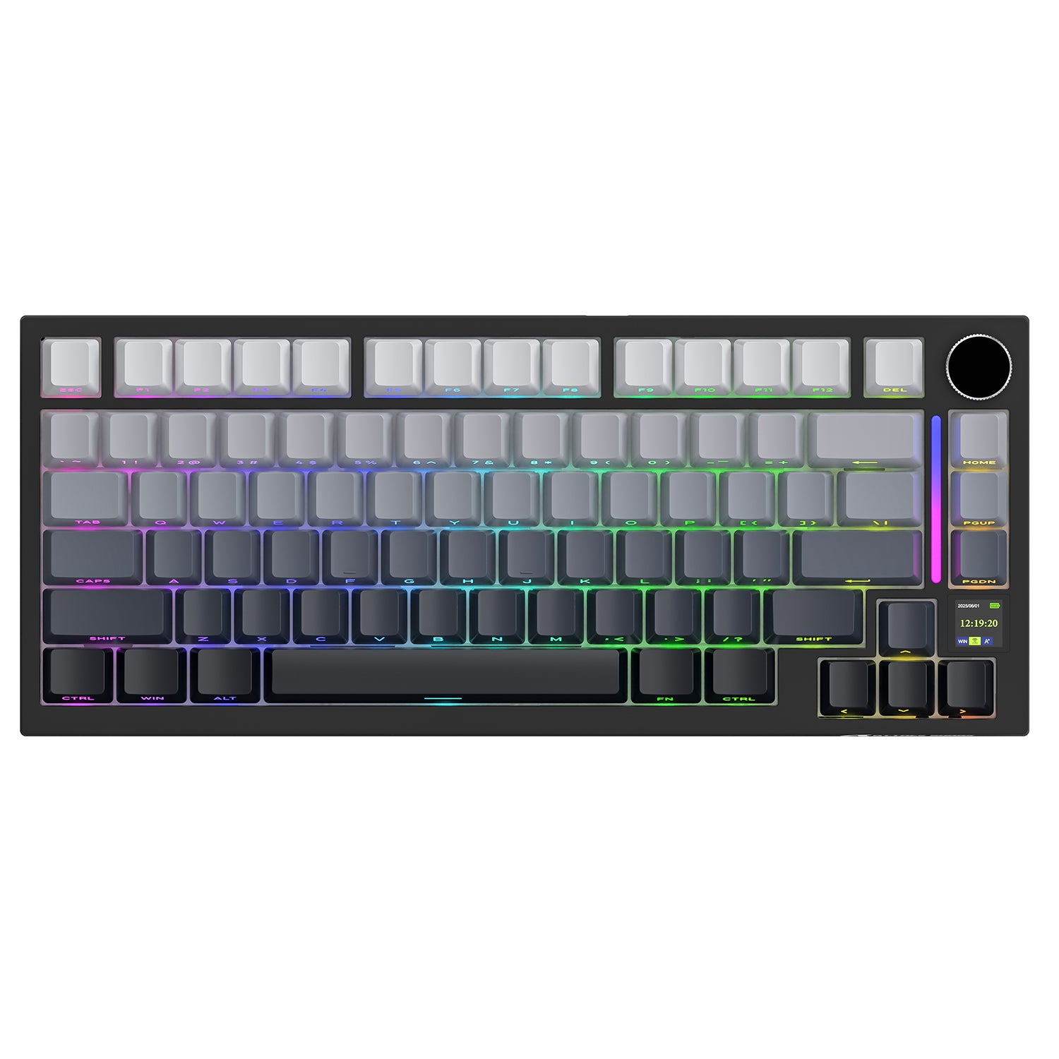 Black Gradient + Shark Switch